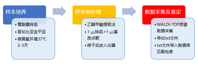1607513255932813.png 5.png