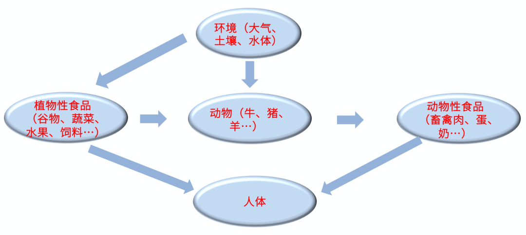 1639634480292649.png 3.png