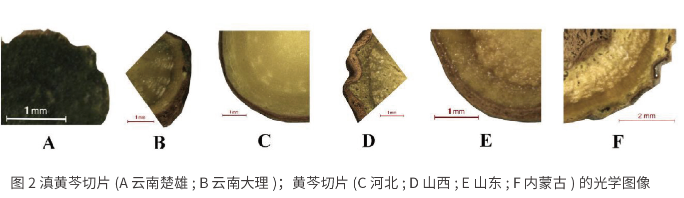 1741050890899254.png 4.png